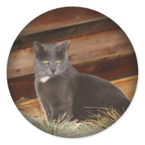 Fade to Black Round Stickers