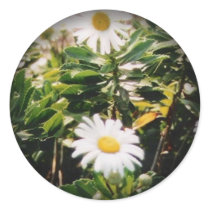 Fade to Black Round Stickers