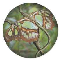 Fade to Black Round Stickers by pidgiefund Fade to Black Round Stickers