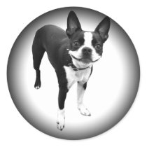 Fade to Black Round Stickers by doggypups Fade to Black Round Stickers