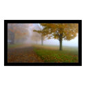 Fade to White posters by gavinshapiro Fade to White posters