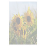 Faded Autumn Sunflowers Stationery