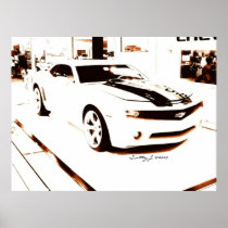"Faded Camaro" © 2009 S. J. Poster