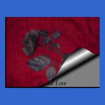 Faded Love posters