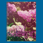 Faded Rainbow Lilacs notebooks