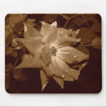 Faded Rose Mousepad mousepads