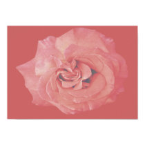 Faded Rose Poster posters