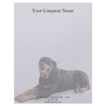 Faded Rottweiler Laying Down on Grey Letterhead Template