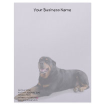 Faded Smiling Rottweiler Laying Down on Grey Custom Letterhead