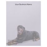 Faded Smiling Rottweiler Laying Down on Grey Custom Letterhead