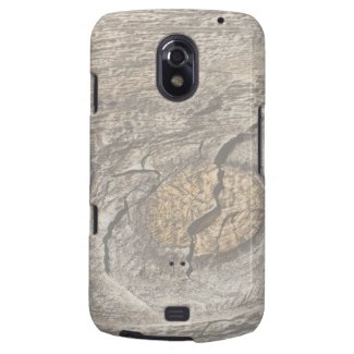 Faded Weathered Wood Textures Samsung Galaxy Nexus Case