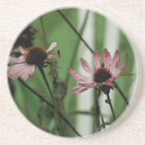 Fading Flowers Coaster