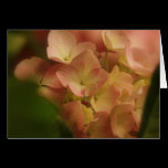 Fading Glory Greeting Card cards