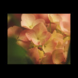 Fading Glory Wrapped Canvas canvas prints