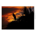 Fading Light cards