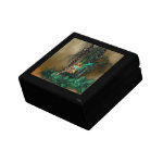 Fae Gift Box Fae Gift Box