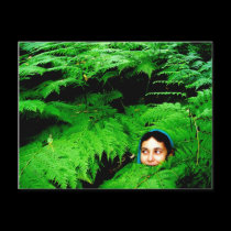 Fae in the Fernwoods Postcard