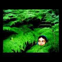 Fae in the Fernwoods posters