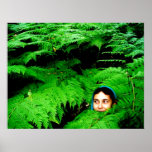 Fae in the Fernwoods Posters