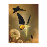 Faerie 02 Postcard