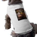 Faerie 04 Pet Pet T Shirt
