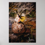 Faerie 04 Print