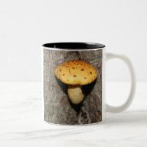 FAERIE FUNGUS mugs