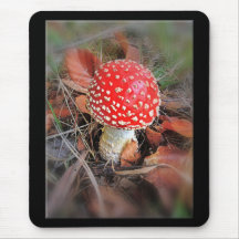 Faerie House Mouse Pads