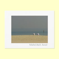 Fahaheel Beach, Kuwait - Men enjoying Life postcards