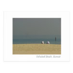 Fahaheel Beach, Kuwait - Men enjoying Life Postcard