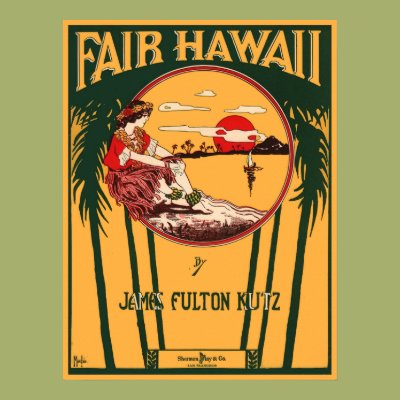 Fair Hawaii Print Zazzle_print Fair Hawaii Print Zazzle_print