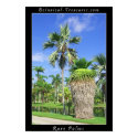 Fairchild Card 1 posters