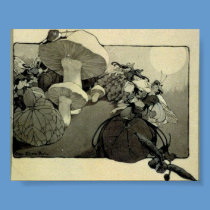Fairies in Flowers, Vintage 1904 posters by voodoomama Fairies in Flowers, Vintage 1904 posters