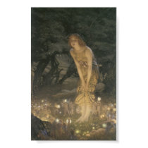 Fairies Magical Village posters
