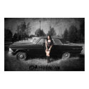 Fairlane posters