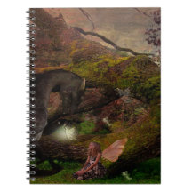 fairy and her dragon dream journal spiral notebooks