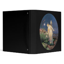 Fairy and Honey Bee 3 Ring Binders