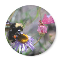 Fairy and the Bee magnets by fairynana Fairy and the Bee magnets