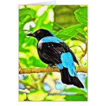 Fairy Bluebird Photo Painting Greeting Cards