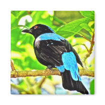 Fairy Bluebird Photo Painting Fridge Magnets
