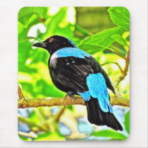 Fairy Bluebird Photo Painting Mousepad