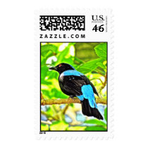 Fairy Bluebird Photo Painting Stamps