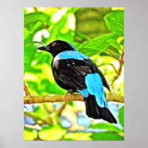 Fairy Bluebird Photo Painting Poster