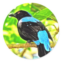 Fairy Bluebird Photo Painting Round Stickers