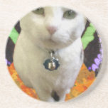Fairy Cat Coaster coasters