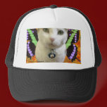 Fairy Cat Hat hats