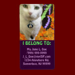 Fairy Cat Identifier Label labels
