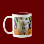 Fairy Cat Mug mugs