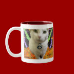 Fairy Cat Mug