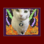 Fairy Cat Postcard postcards